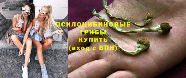 дживик Алзамай