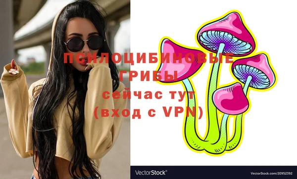 дживик Алзамай