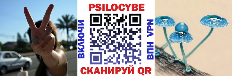 Псилоцибиновые грибы прущие грибы  наркошоп  Обнинск 